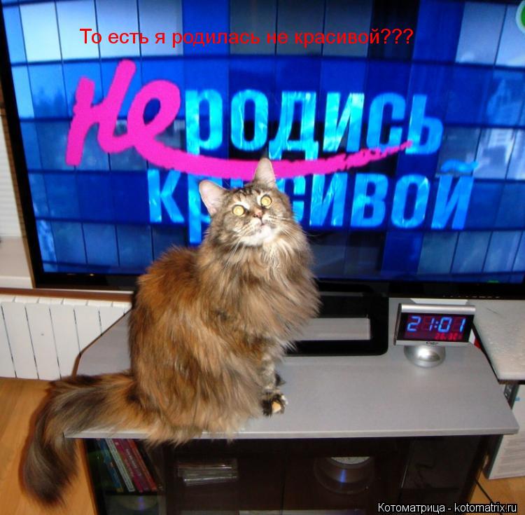 То есть я родилась не красивой???... Котоматрица: То есть я родилась не красивой???