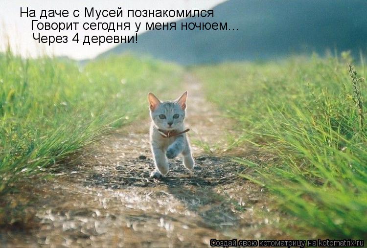 На даче с Мусей познакомился Говорит сегодня у меня ночюем... Через 4 деревни!... Котоматрица: На даче с Мусей познакомился Говорит сегодня у меня ночюем... Через 4 деревни!