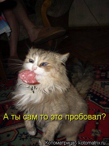 А ты сам то это пробовал?... Котоматрица: А ты сам то это пробовал?