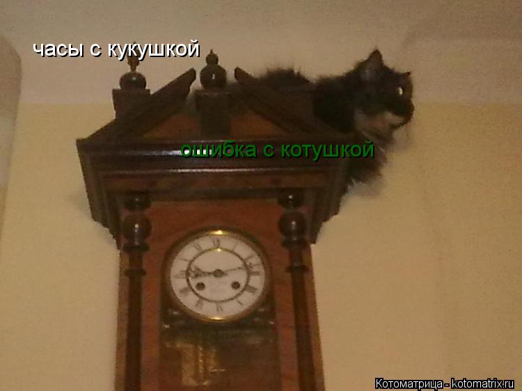 часы с кукушкой ошибка с котушкой... Котоматрица: часы с кукушкой ошибка с котушкой