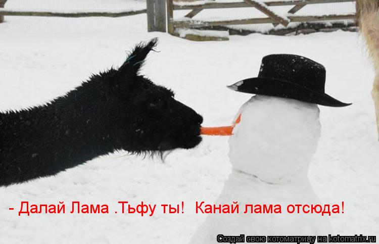 - Далай Лама .Тьфу ты! Канай лама отсюда!... Котоматрица: - Далай Лама .Тьфу ты! Канай лама отсюда!