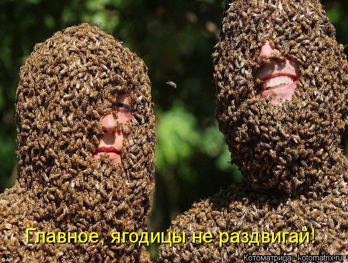 Главное, ягодицы не раздвигай!... Котоматрица: Главное, ягодицы не раздвигай!