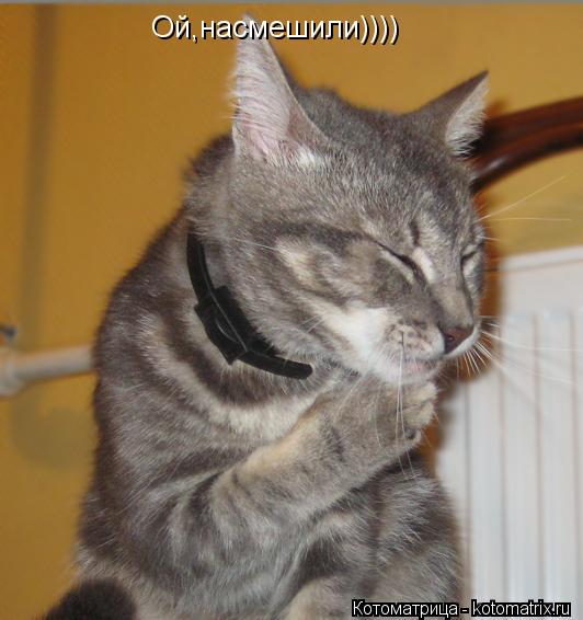 Ой,насмешили)))) Ой,насмешили))))... Котоматрица: Ой,насмешили)))) Ой,насмешили))))