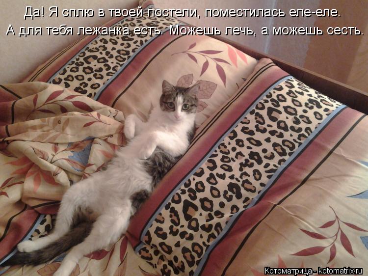 Да! Я сплю в твоей постели, поместилась еле-еле. А для тебя лежанка есть. Можешь лечь, а можешь сесть... Котоматрица: Да! Я сплю в твоей постели, поместилась еле-еле. А для тебя лежанка есть. Можешь лечь, а можешь сесть. Да! Я сплю в твоей постели, поместилась е