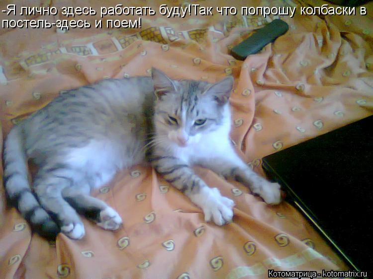 -Я лично здесь работать буду!Так что попрошу колбаски в постель-здесь и поем!... Котоматрица: -Я лично здесь работать буду!Так что попрошу колбаски в постель-здесь и поем!