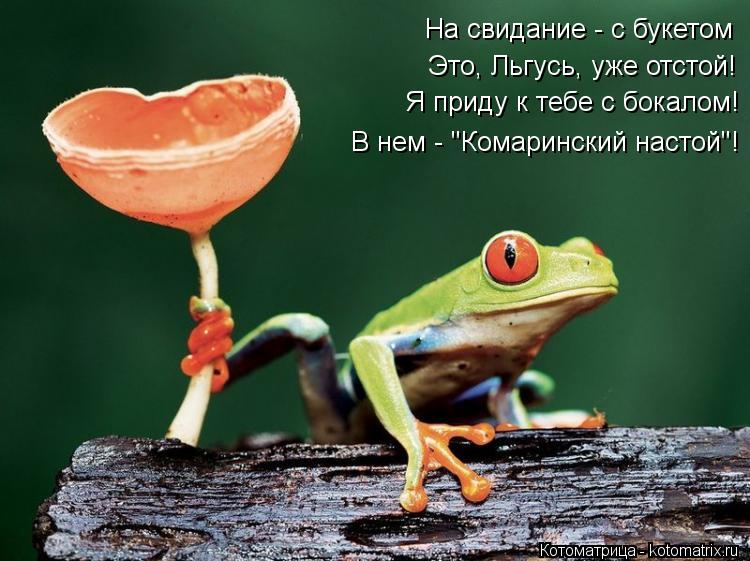 Котоматрица: На свидание - с букетом Это, Льгусь, уже отстой! Я приду к тебе с бокалом! В нем - "Комаринский настой"!