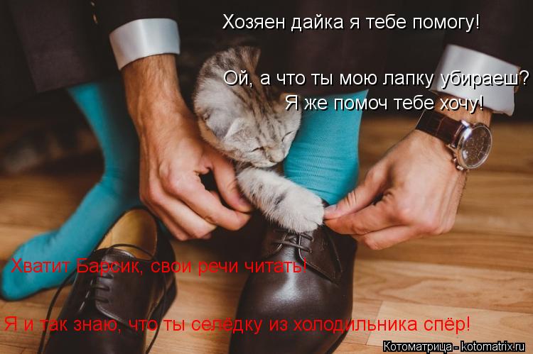 Хозяен дайка я тебе помогу! Ой, а что ты мою лапку убираеш? Я же помоч тебе хочу! Хватит Барсик, свои... Котоматрица: Хозяен дайка я тебе помогу! Ой, а что ты мою лапку убираеш? Я же помоч тебе хочу! Хватит Барсик, свои речи читать! Я и так знаю, что ты селёдку и