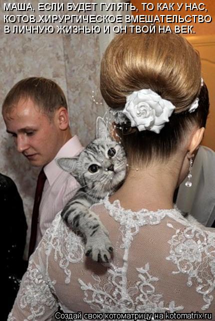 Котоматрица: МАША, ЕСЛИ БУДЕТ ГУЛЯТЬ, ТО КАК У НАС, КОТОВ.ХИРУРГИЧЕСКОЕ ВМЕШАТЕЛЬСТВО В ЛИЧНУЮ ЖИЗНЬЮ И ОН ТВОЙ НА ВЕК.