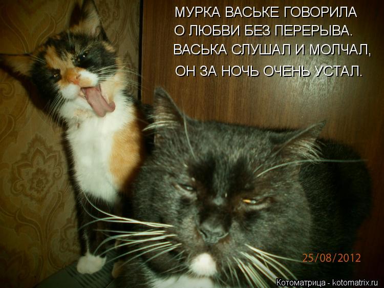 МУРКА ВАСЬКЕ ГОВОРИЛА О ЛЮБВИ БЕЗ ПЕРЕРЫВА. ВАСЬКА СЛУШАЛ И МОЛЧАЛ, ОН ЗА НОЧЬ ОЧЕНЬ УСТАЛ.... Котоматрица: МУРКА ВАСЬКЕ ГОВОРИЛА О ЛЮБВИ БЕЗ ПЕРЕРЫВА. ВАСЬКА СЛУШАЛ И МОЛЧАЛ, ОН ЗА НОЧЬ ОЧЕНЬ УСТАЛ.