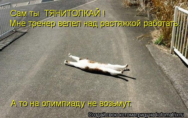 Сам ты ТЯНИТОЛКАЙ ! Мне тренер велел над растяжкой работать. А то на олимпиаду не возьмут.... Котоматрица: Сам ты ТЯНИТОЛКАЙ ! Мне тренер велел над растяжкой работать. А то на олимпиаду не возьмут.