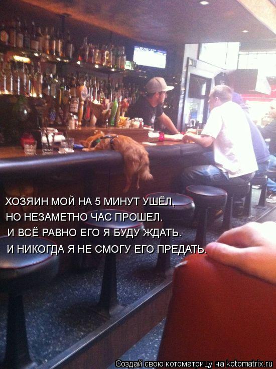 Котоматрица: ХОЗЯИН МОЙ НА 5 МИНУТ УШЁЛ, НО НЕЗАМЕТНО ЧАС ПРОШЕЛ. И ВСЁ РАВНО ЕГО Я БУДУ ЖДАТЬ. И НИКОГДА Я НЕ СМОГУ ЕГО ПРЕДАТЬ.