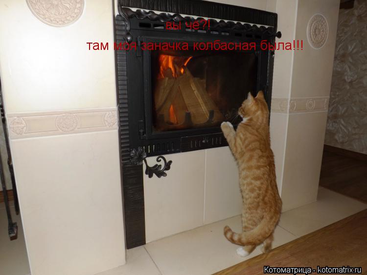 вы чё?! там моя заначка колбасная была!!!... Котоматрица: вы чё?! там моя заначка колбасная была!!!