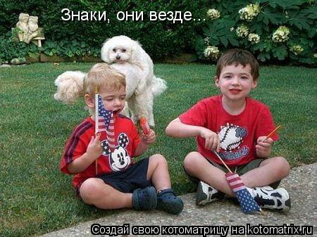 Знаки, они везде...... Котоматрица: Знаки, они везде...