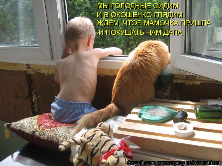 МЫ ГОЛОДНЫЕ СИДИМ, И В ОКОШЕЧКО ГЛЯДИМ. ЖДЁМ, ЧТОБ МАМОЧКА ПРИШЛА И ПОКУШАТЬ НАМ ДАЛА.... Котоматрица: МЫ ГОЛОДНЫЕ СИДИМ, И В ОКОШЕЧКО ГЛЯДИМ. ЖДЁМ, ЧТОБ МАМОЧКА ПРИШЛА И ПОКУШАТЬ НАМ ДАЛА.