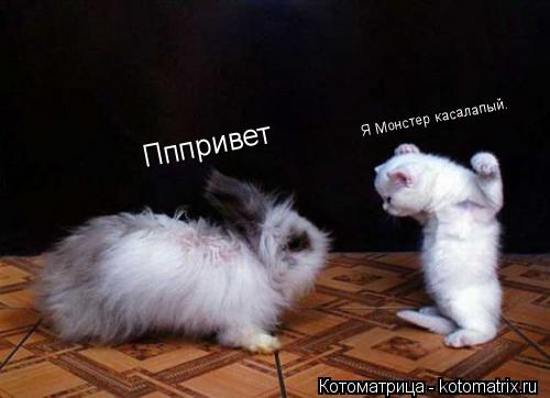 Пппривет Я Монстер касалапый.... Котоматрица: Пппривет Я Монстер касалапый.