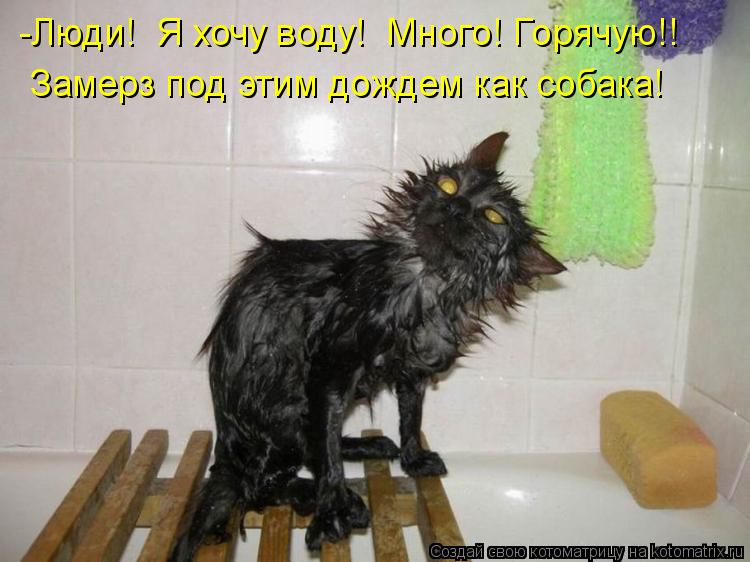 Котоматрица: -Люди!  Я хочу воду!  Много! Горячую!! Замерз под этим дождем как собака!