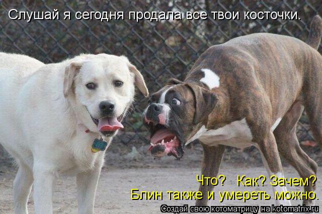 Слушай я сегодня продала все твои косточки. Что? Как? Зачем? Блин также и умереть можно.... Котоматрица: Слушай я сегодня продала все твои косточки. Что? Как? Зачем? Блин также и умереть можно.
