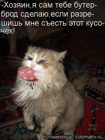 -Хозяин,я сам тебе бутер- брод сделаю,если разре- шишь мне съесть этот кусо- чек!... Котоматрица: -Хозяин,я сам тебе бутер- брод сделаю,если разре- шишь мне съесть этот кусо- чек!