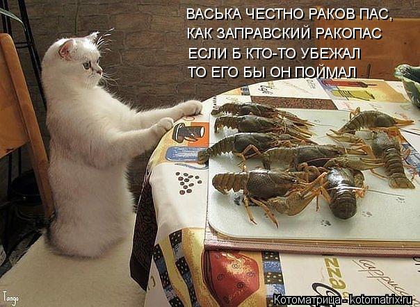 ВАСЬКА ЧЕСТНО РАКОВ ПАС, КАК ЗАПРАВСКИЙ РАКОПАС ЕСЛИ Б КТО-ТО УБЕЖАЛ ТО ЕГО БЫ ОН ПОЙМАЛ... Котоматрица: ВАСЬКА ЧЕСТНО РАКОВ ПАС, КАК ЗАПРАВСКИЙ РАКОПАС ЕСЛИ Б КТО-ТО УБЕЖАЛ ТО ЕГО БЫ ОН ПОЙМАЛ