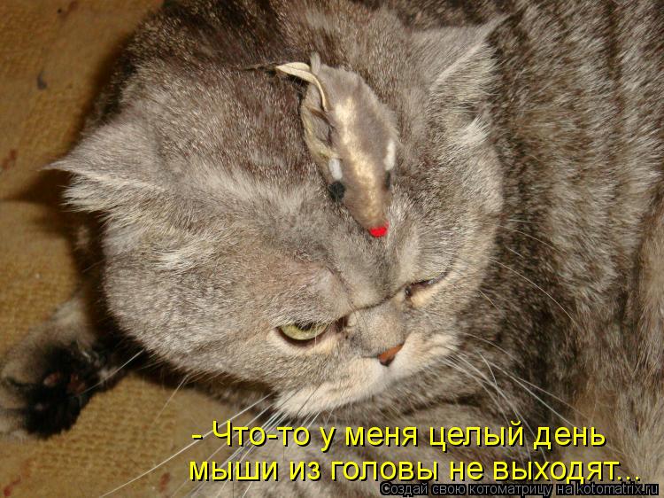- Что-то у меня целый день мыши из головы не выходят...... Котоматрица: - Что-то у меня целый день мыши из головы не выходят...