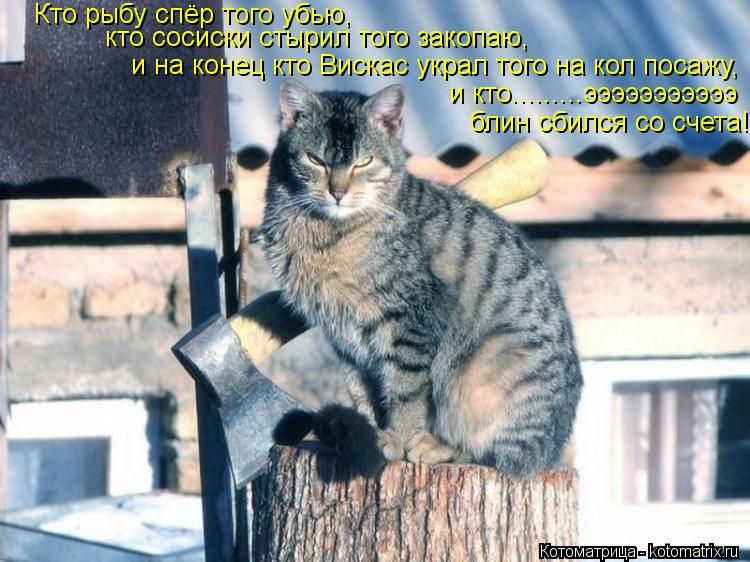 Кто рыбу спёр того убью, кто сосиски стырил того закопаю, и на конец кто Вискас украл того на кол п... Котоматрица: Кто рыбу спёр того убью, кто сосиски стырил того закопаю, и на конец кто Вискас украл того на кол посажу, и кто.........эээээээээээ блин сбился