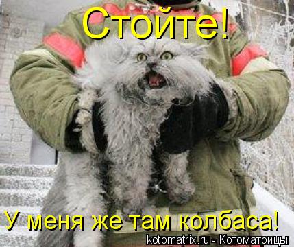 У меня же там колбаса! Стойте!... Котоматрица: У меня же там колбаса! Стойте!