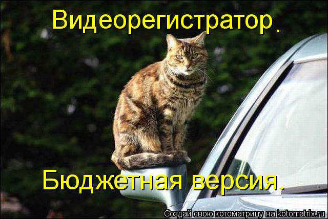 Видеорегистратор Бюджетная версия. .... Котоматрица: Видеорегистратор Бюджетная версия. .
