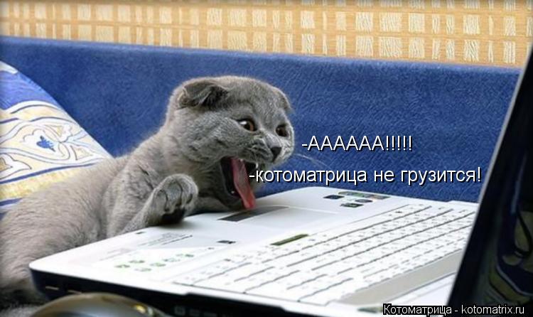 -АААААА!!!!! -котоматрица не грузится!... Котоматрица: -АААААА!!!!! -котоматрица не грузится!