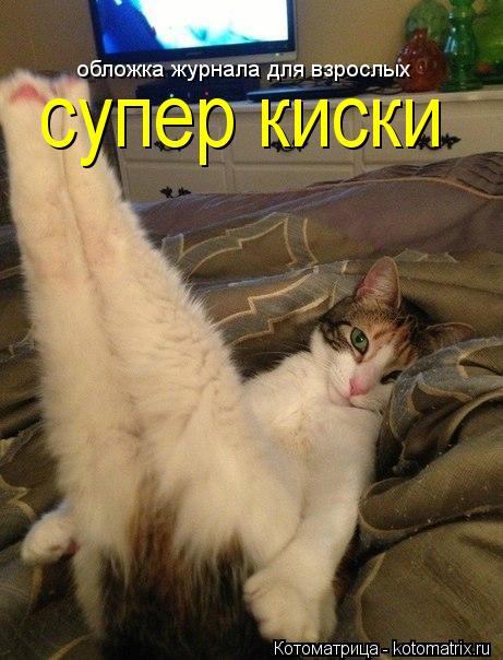 супер киски обложка журнала для взрослых... Котоматрица: супер киски обложка журнала для взрослых