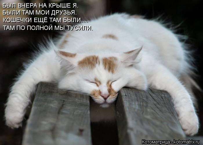 БЫЛ ВЧЕРА НА КРЫШЕ Я. БЫЛИ ТАМ МОИ ДРУЗЬЯ. КОШЕЧКИ ЕЩЁ ТАМ БЫЛИ.... ТАМ ПО ПОЛНОЙ МЫ ТУСИЛИ.... Котоматрица: БЫЛ ВЧЕРА НА КРЫШЕ Я. БЫЛИ ТАМ МОИ ДРУЗЬЯ. КОШЕЧКИ ЕЩЁ ТАМ БЫЛИ.... ТАМ ПО ПОЛНОЙ МЫ ТУСИЛИ.