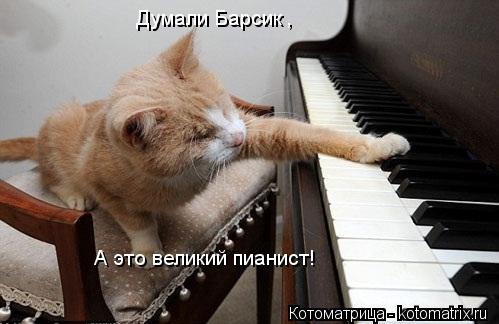 Думали Барсик , А это великий пианист!... Котоматрица: Думали Барсик , А это великий пианист!