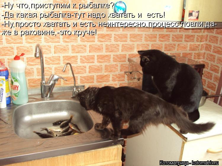 -Ну что,приступим к рыбалке? -Да какая рыбалка-тут надо хватать и есть! -Ну,просто хватать и есть не... Котоматрица: -Ну что,приступим к рыбалке? -Да какая рыбалка-тут надо хватать и есть! -Ну,просто хватать и есть неинтересно,процесс ловли,да- же в раковине,-
