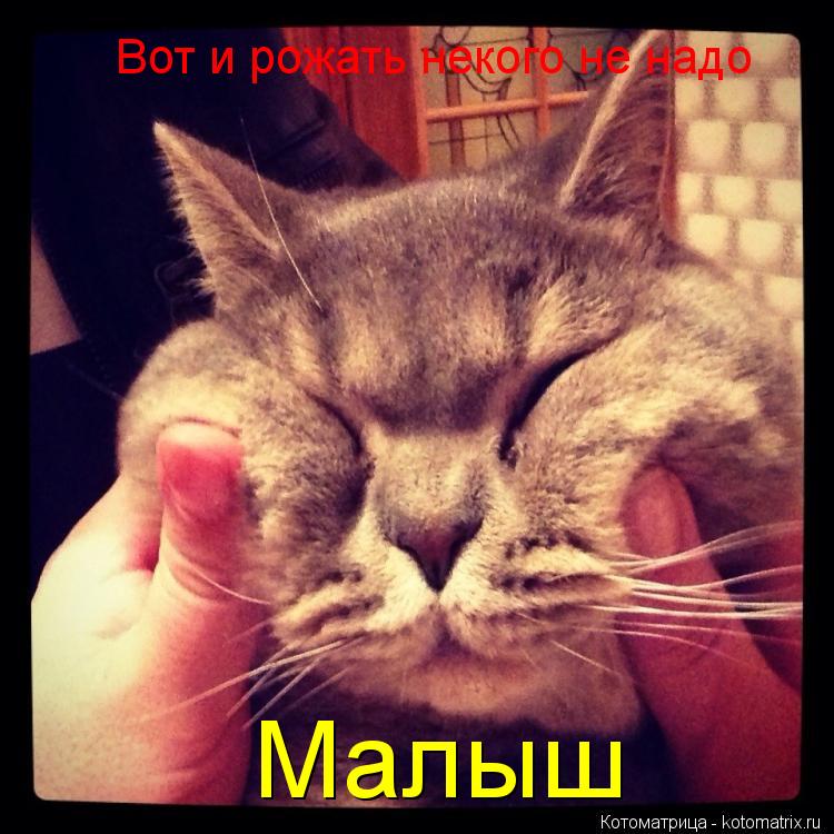 Вот и рожать некого не надо Малыш... Котоматрица: Вот и рожать некого не надо Малыш