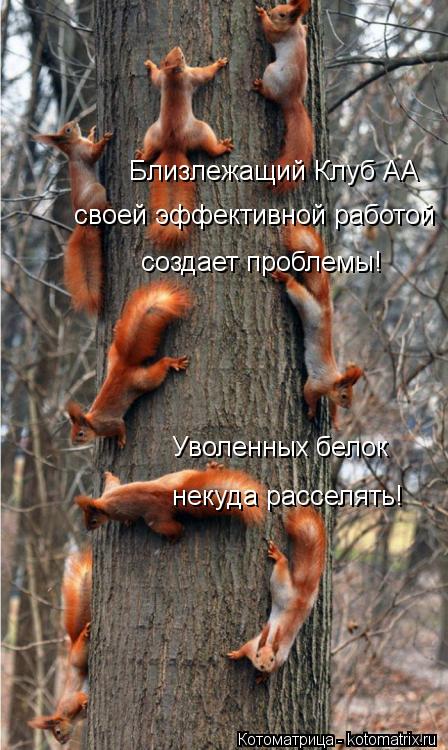 Близлежащий Клуб АА своей эффективной работой создает проблемы! Уволенных белок некуда расселять!... Котоматрица: Близлежащий Клуб АА своей эффективной работой создает проблемы! Уволенных белок некуда расселять!