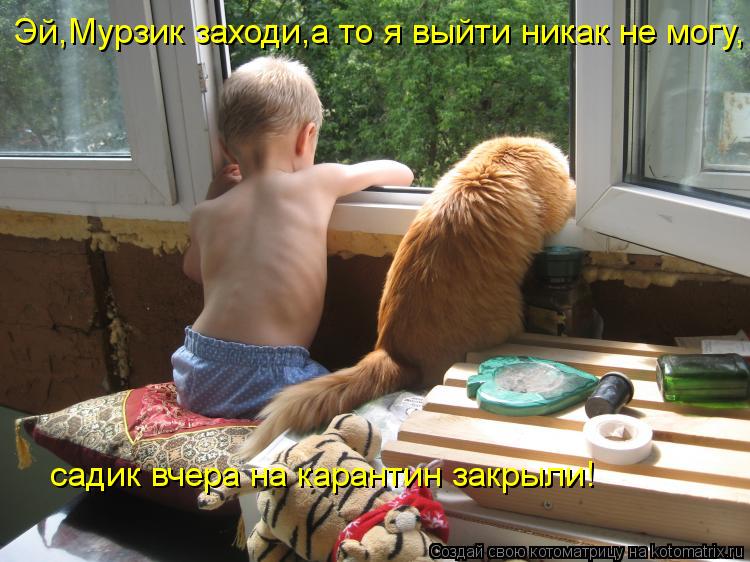 Эй,Мурзик заходи,а то я выйти никак не могу, садик вчера на карантин закрыли!... Котоматрица: Эй,Мурзик заходи,а то я выйти никак не могу, садик вчера на карантин закрыли!