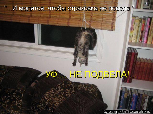 "...И молятся, чтобы страховка не повела." УФ.... НЕ ПОДВЕЛА!...... Котоматрица: "...И молятся, чтобы страховка не повела." УФ.... НЕ ПОДВЕЛА!...