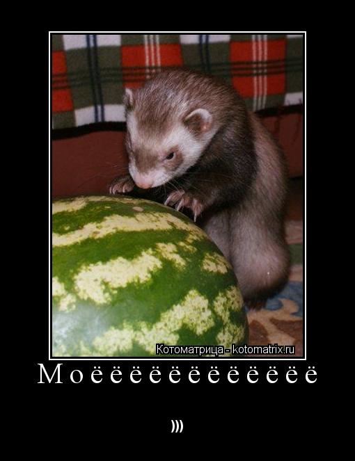 Котоматрица: Моёёёёёёёёёёёё )))