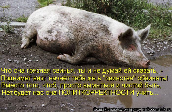 Что она грязная свинья, ты и не думай ей сказать, - Поднимет визг, начнёт тебя же в "свинстве" обвин... Котоматрица: Что она грязная свинья, ты и не думай ей сказать, - Поднимет визг, начнёт тебя же в "свинстве" обвинять! Вместо того, чтоб, просто вымыться и чи