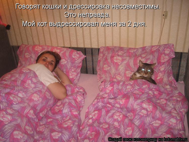 Котоматрица: Говорят кошки и дрессировка несовместимы. Это неправда. Мой кот выдрессировал меня за 2 дня.