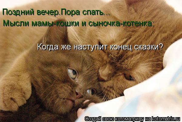 Поздний вечер.Пора спать... Когда же наступит конец сказки? Мысли мамы-кошки и сыночка-котенка:... Котоматрица: Поздний вечер.Пора спать... Когда же наступит конец сказки? Мысли мамы-кошки и сыночка-котенка: