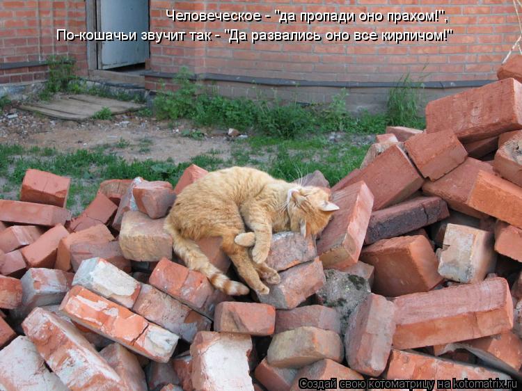 Котоматрица: Человеческое - "да пропади оно прахом!", По-кошачьи звучит так - "Да развались оно все кирпичом!"