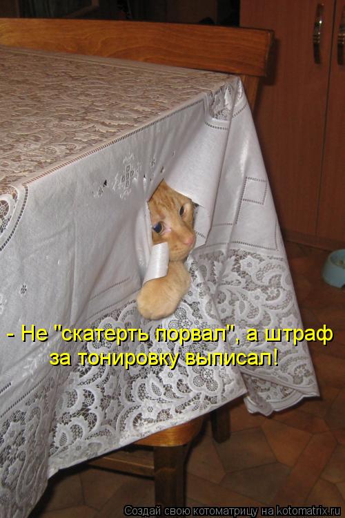 - Не "скатерть порвал", а штраф за тонировку выписал!... Котоматрица: - Не "скатерть порвал", а штраф за тонировку выписал!