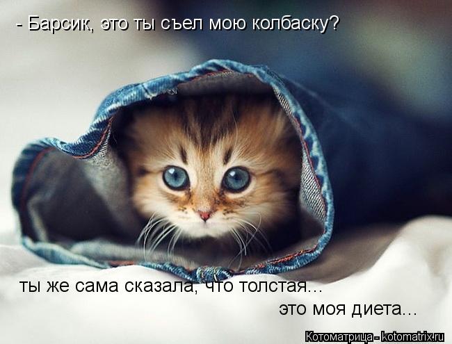 - Барсик, это ты съел мою колбаску? ты же сама сказала, что толстая... это моя диета...... Котоматрица: - Барсик, это ты съел мою колбаску? ты же сама сказала, что толстая... это моя диета...