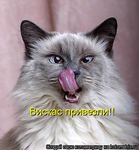 Вискас привезли!!... Котоматрица: Вискас привезли!!