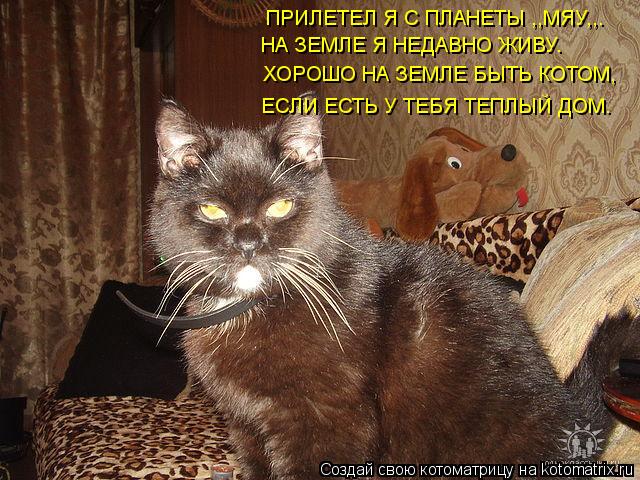 ПРИЛЕТЕЛ Я С ПЛАНЕТЫ ,,МЯУ,,. НА ЗЕМЛЕ Я НЕДАВНО ЖИВУ. ХОРОШО НА ЗЕМЛЕ БЫТЬ КОТОМ, ЕСЛИ ЕСТЬ У ТЕБЯ Т... Котоматрица: ПРИЛЕТЕЛ Я С ПЛАНЕТЫ ,,МЯУ,,. НА ЗЕМЛЕ Я НЕДАВНО ЖИВУ. ХОРОШО НА ЗЕМЛЕ БЫТЬ КОТОМ, ЕСЛИ ЕСТЬ У ТЕБЯ ТЕПЛЫЙ ДОМ.