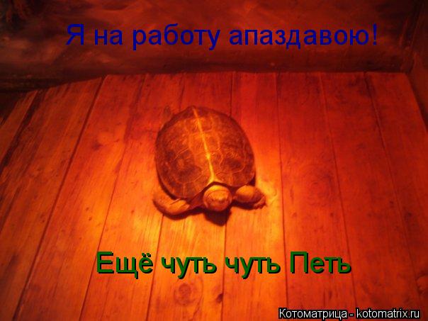 Я на работу апаздавою! Ещё чуть чуть Петь... Котоматрица: Я на работу апаздавою! Ещё чуть чуть Петь