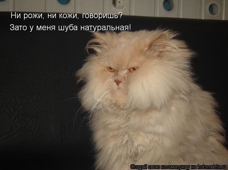 Ни рожи, ни кожи, говоришь? Зато у меня шуба натуральная!... Котоматрица: Ни рожи, ни кожи, говоришь? Зато у меня шуба натуральная!