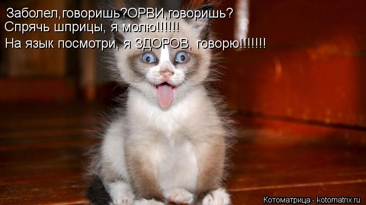 Заболел,говоришь?ОРВИ,говоришь? Спрячь шприцы, я молю!!!!!! На язык посмотри, я ЗДОРОВ, говорю!!!!!!!... Котоматрица: Заболел,говоришь?ОРВИ,говоришь? Спрячь шприцы, я молю!!!!!! На язык посмотри, я ЗДОРОВ, говорю!!!!!!!
