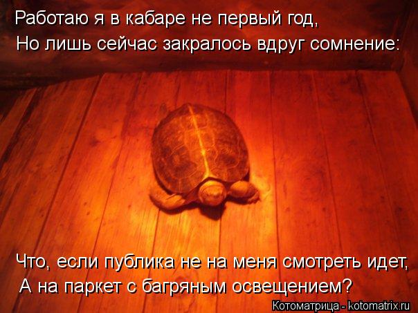 Работаю я в кабаре не первый год, Но лишь сейчас закралось вдруг сомнение: Что, если публика не на ме... Котоматрица: Работаю я в кабаре не первый год, Но лишь сейчас закралось вдруг сомнение: Что, если публика не на меня смотреть идет, А на паркет с багряным