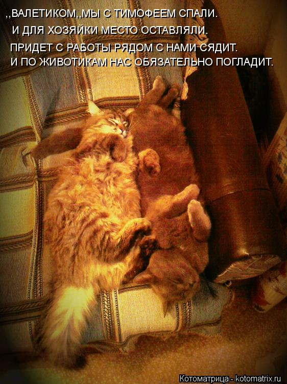 Котоматрица: ,,ВАЛЕТИКОМ,,МЫ С ТИМОФЕЕМ СПАЛИ. И ДЛЯ ХОЗЯЙКИ МЕСТО ОСТАВЛЯЛИ. ПРИДЕТ С РАБОТЫ РЯДОМ С НАМИ СЯДИТ. И ПО ЖИВОТИКАМ НАС ОБЯЗАТЕЛЬНО ПОГЛАДИТ.